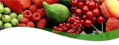 Các loại trái cây có họ “chua” – Ảnh: nguồn muoitomtayninh.vn