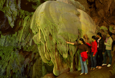 Surprised by stalactites like ... flowers 