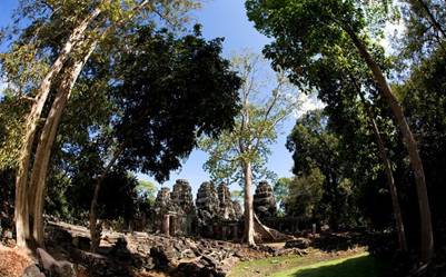 Quần thể Angkor được rừng che chở bảo vệ 