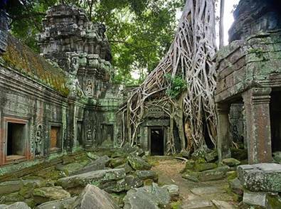 Nét cổ quái tại ngôi đền Ta Prohm 