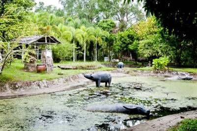 Bức tranh thôn dã 