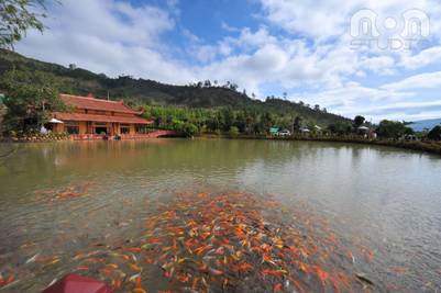 Thất Tuệ Hiền soi bóng hồ Định An 
