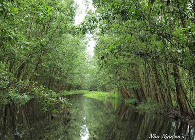 Màu xanh thanh bình tại Lung Ngọc Hoàng 