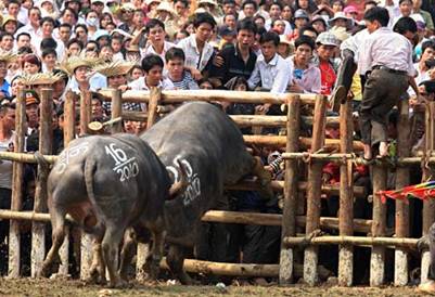 Tình huống bất ngờ 