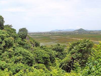 Những cánh đồng bao quanh 