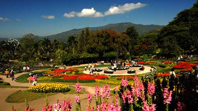 Vườn hoa Doi Tung 