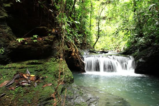 Thác nước tại Ulu Temburong 