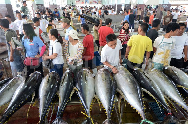 một trong các nhà sản xuất cá ngừ 