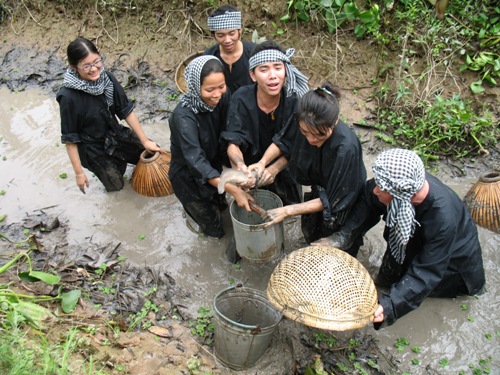 Tát mương bắt cá 