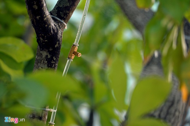 Hệ thống giải nhiệt 