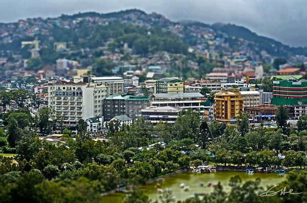 Thành phố giữa rừng thông 