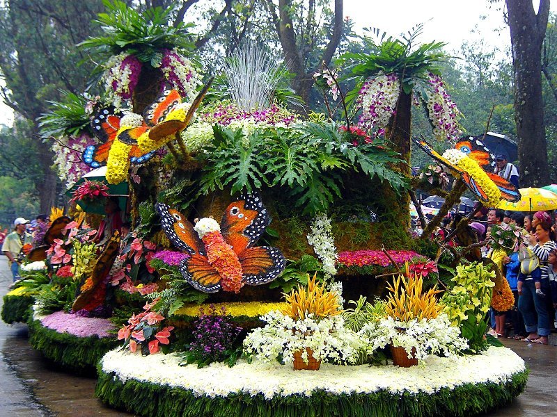 Xe hoa tại lễ hội Panagbenga 