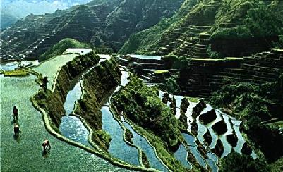 Ruộng bậc thang Banaue 