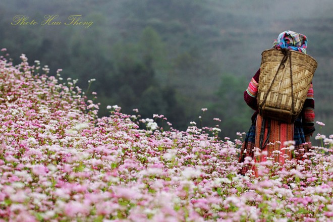 Vùng đất cổ tích 