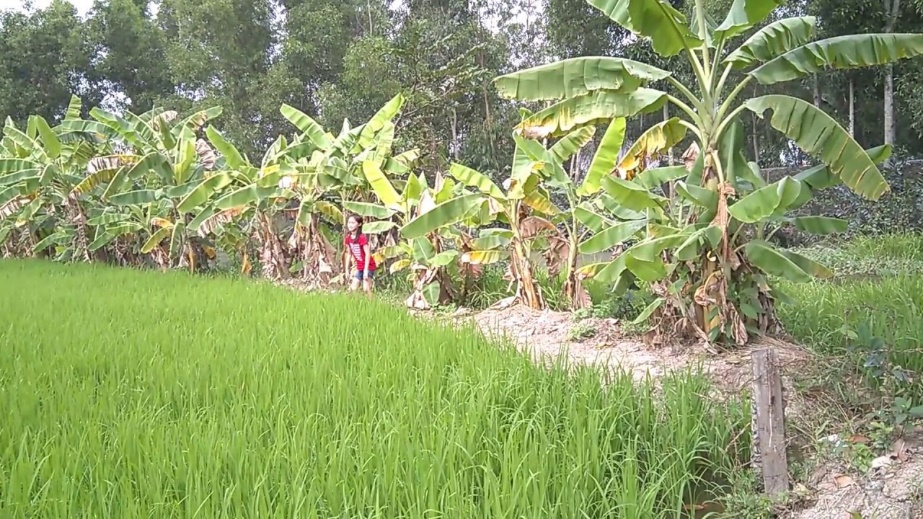 Gò Công - ngày ấy, bây giờ 