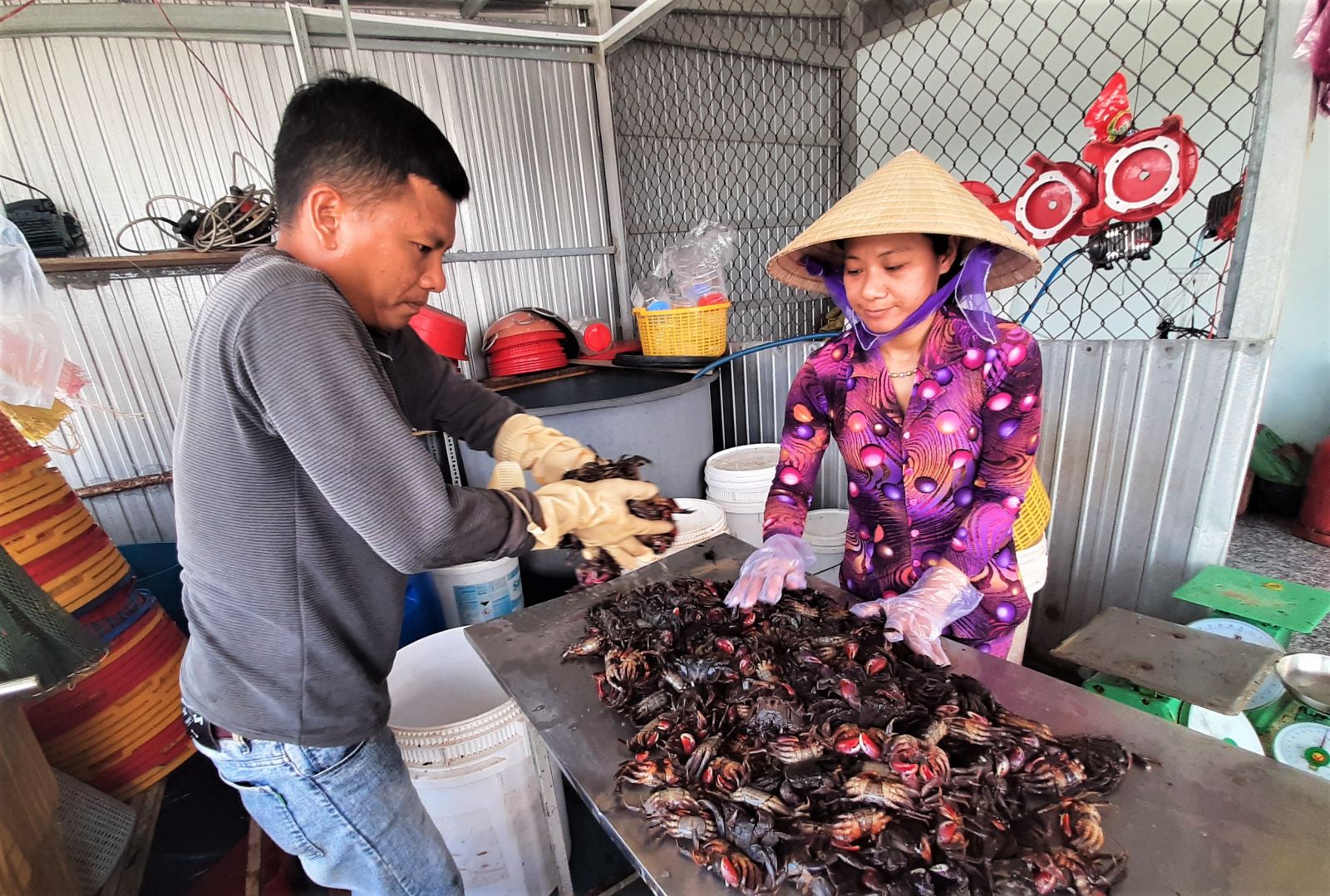 Muối Ba khía phải qua nhiều công đoạn 