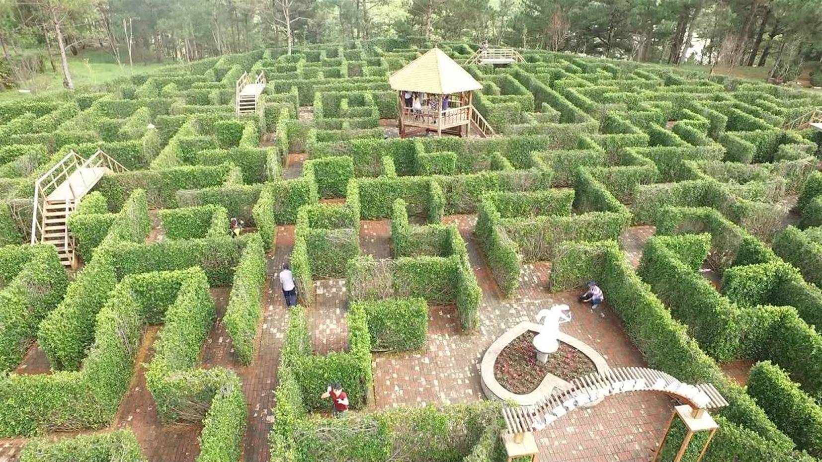 Mê cung Tình yêu 